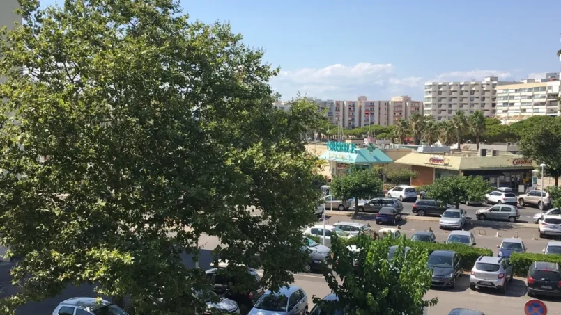 Dune appartement meuble carnon, vue 9