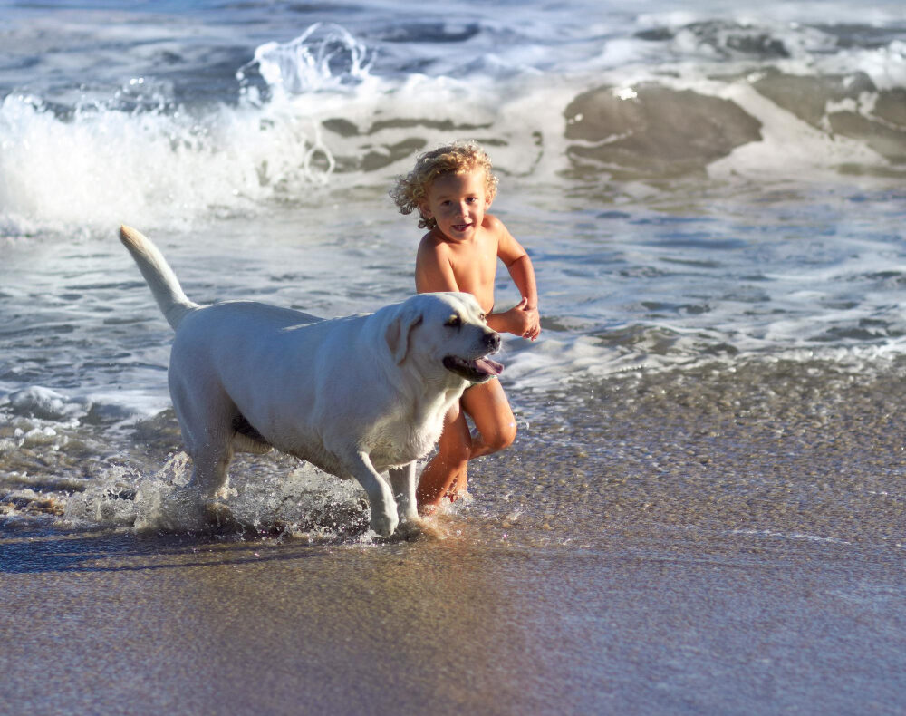 Carnon plage chien