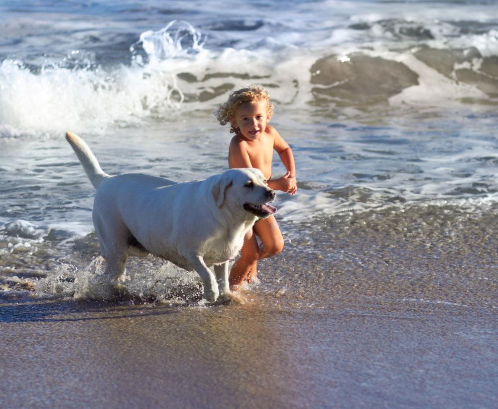 Carnon plage chien