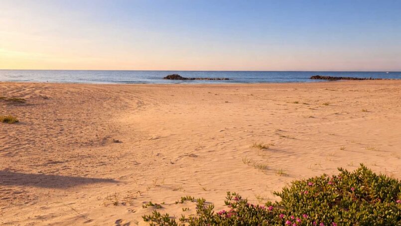 F3 Plage Palace, appartement de location vue mer entre Palavas et Carnon, photo 6